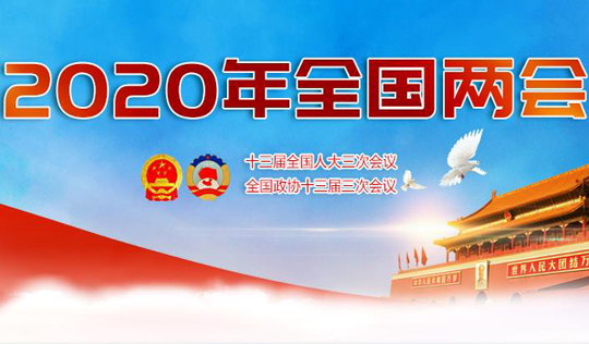 2020年全国两会专题